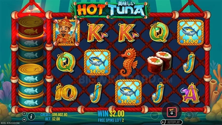 Live dealer games experience at 8k8 online casino